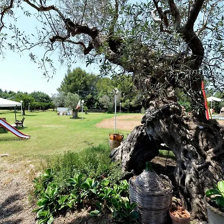 Santa Chiara Gospodarstwo agroturystyczne *