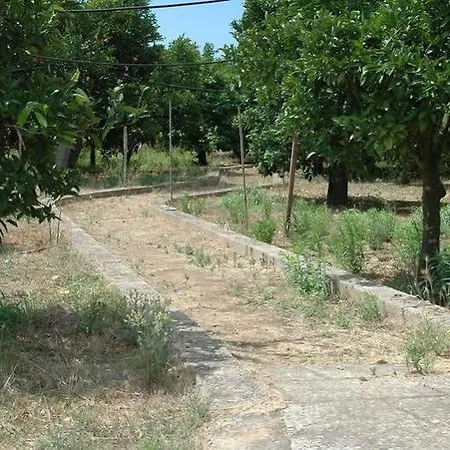 Santa Chiara Alezio
