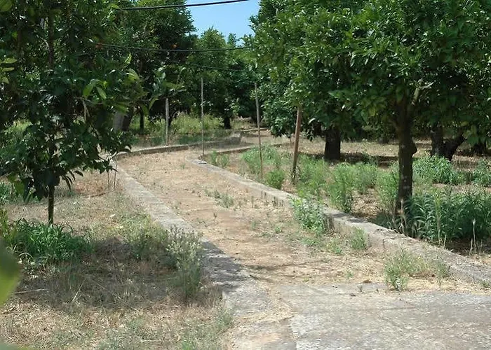 Santa Chiara Alezio